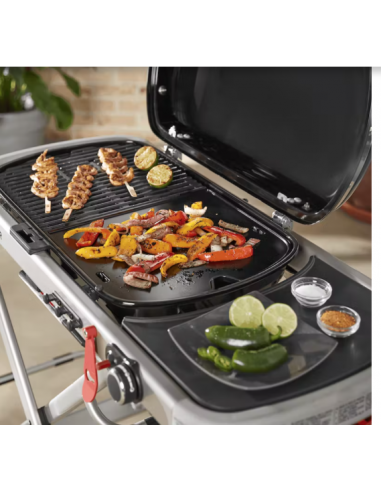 Piastra – Barbecue Weber Traveler