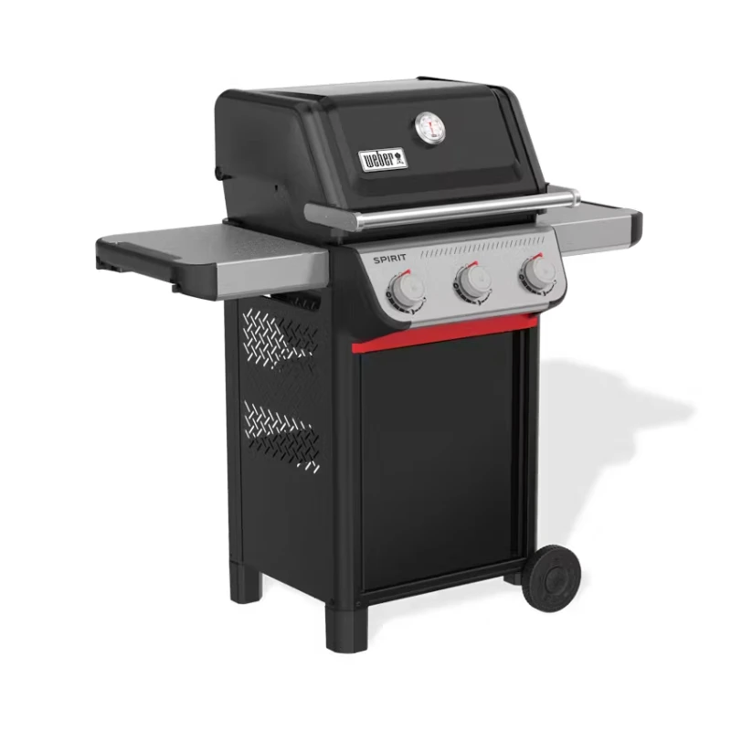 Barbecue Spirit E-310 Gas