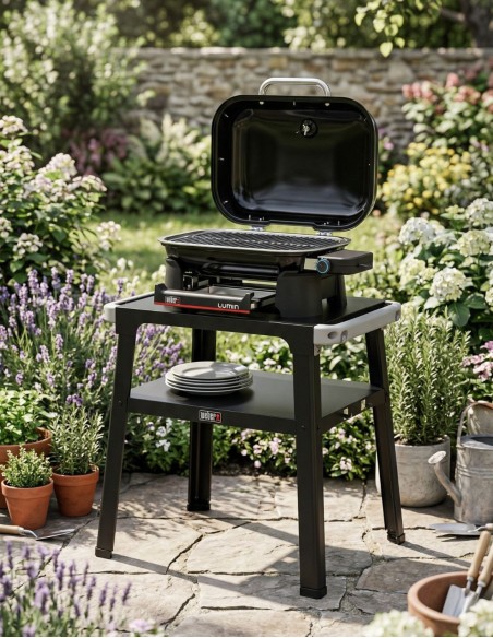 Barbecue Elettrico Weber Lumin Compact con Stand Black | Bbqhouse