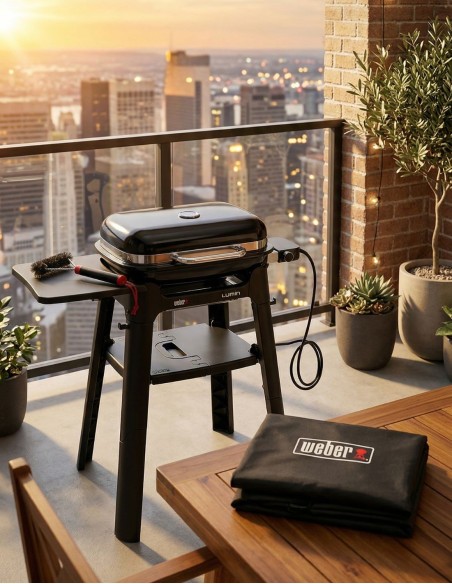 Kit Weber Lumin Compact con stand + Accessori | Bbqhouse