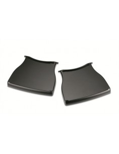 RIPIANI WEBER® Q™ SERIE 1000