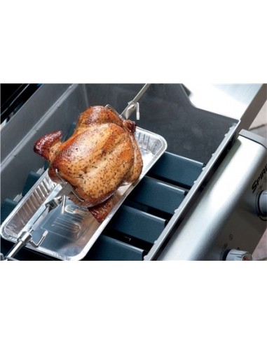 GIRARROSTO WEBER® PER SPIRIT™