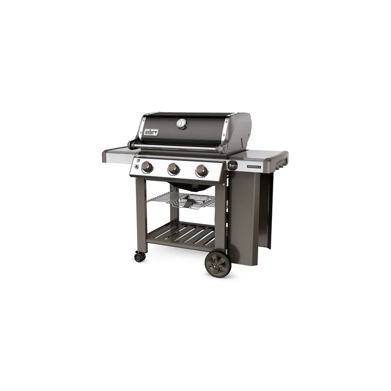 Genesis® II E-310 GBS™ Black