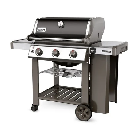 Genesis® II E-310 GBS™ Black