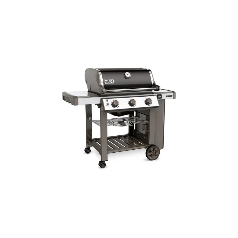 Genesis® II E-310 GBS™ Black