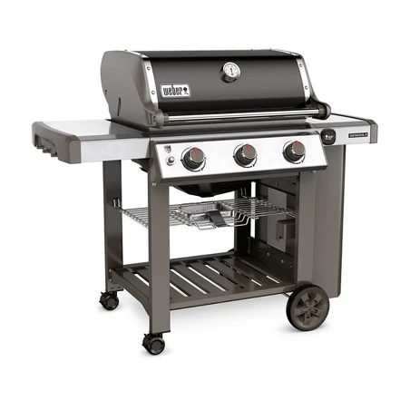 Genesis® II E-310 GBS™ Black