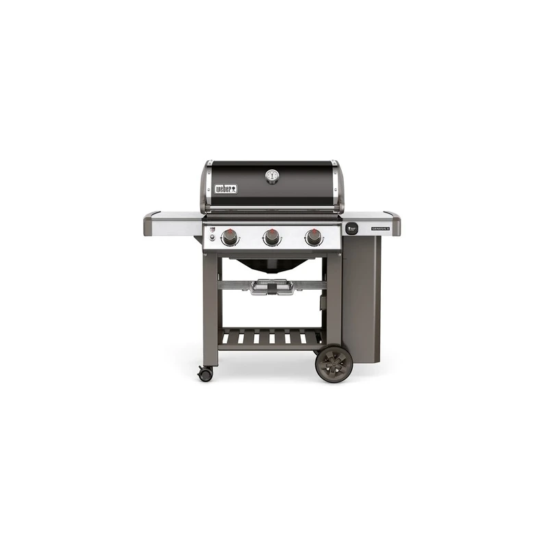 Genesis® II E-310 GBS™ Black