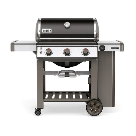 Genesis® II E-310 GBS™ Black