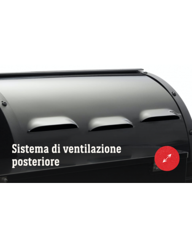 Barbecue a pellet SmokeFire EX4 GBS