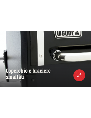 Barbecue a pellet SmokeFire EX4 GBS