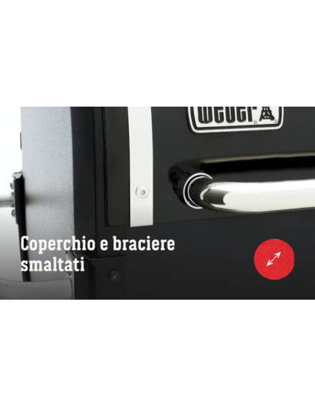 Barbecue a pellet SmokeFire EX4 GBS